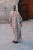 IMG_8568.jpeg