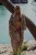 IMG_8605.jpeg