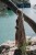 IMG_8627.jpeg